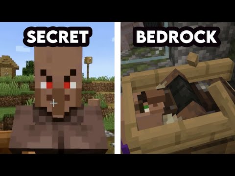 Willaume - SECRETS about Minecraft NPCs that NO ONE knows 🤫