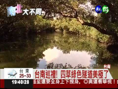 台南祕密花園 "四草隧道"好美