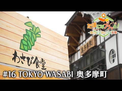 「たまにはプラっと！」　2024年7月19日放送