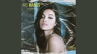 Mis Manos Music Video