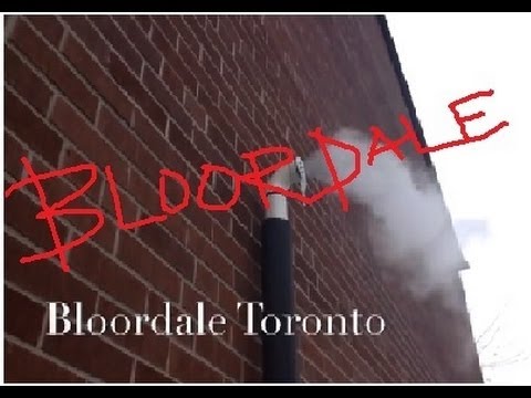 Bloordale Toronto: Very Cold January 1, 2014 (HAPPY NEW YEAR!!!!)