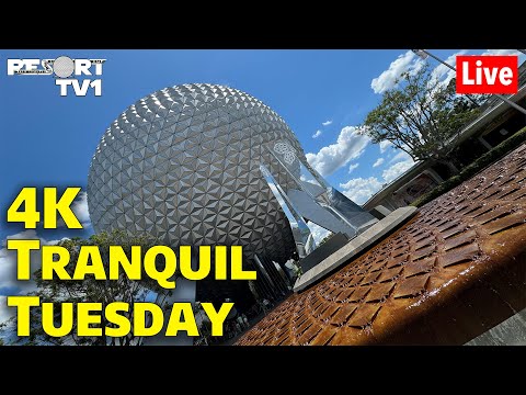 🔴4K Live: Tranquil Tuesday - A Tranquil Morning at Epcot - Walt Disney World Live Stream - 6-18-24