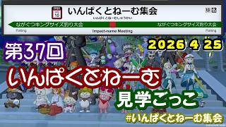 【ドラクエ10】第37回　いんぱくとねーむ見学ごっこ　生配信　【2025.04.25】