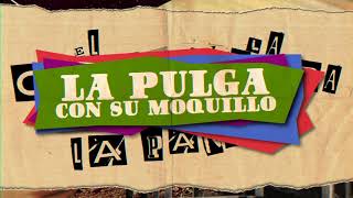 Nudito En La Garganta (¥apan) Lyrics English Translation