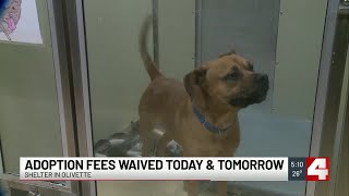 St. Louis County waiving pet adoption fees on Tuesday, Wednesday