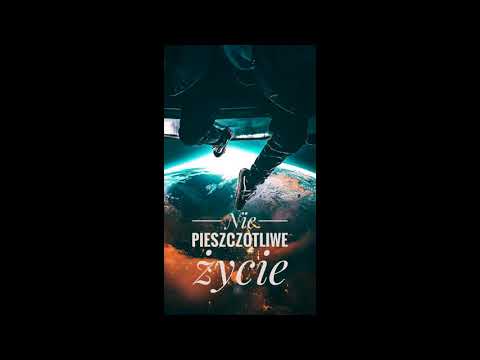 Kinial - Nie pieszczotliwe życie