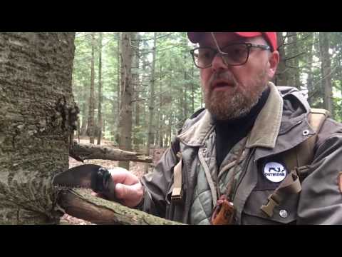 Trapper's fire, flint, tinder. What's it all about? A bushcraft history of the world :)