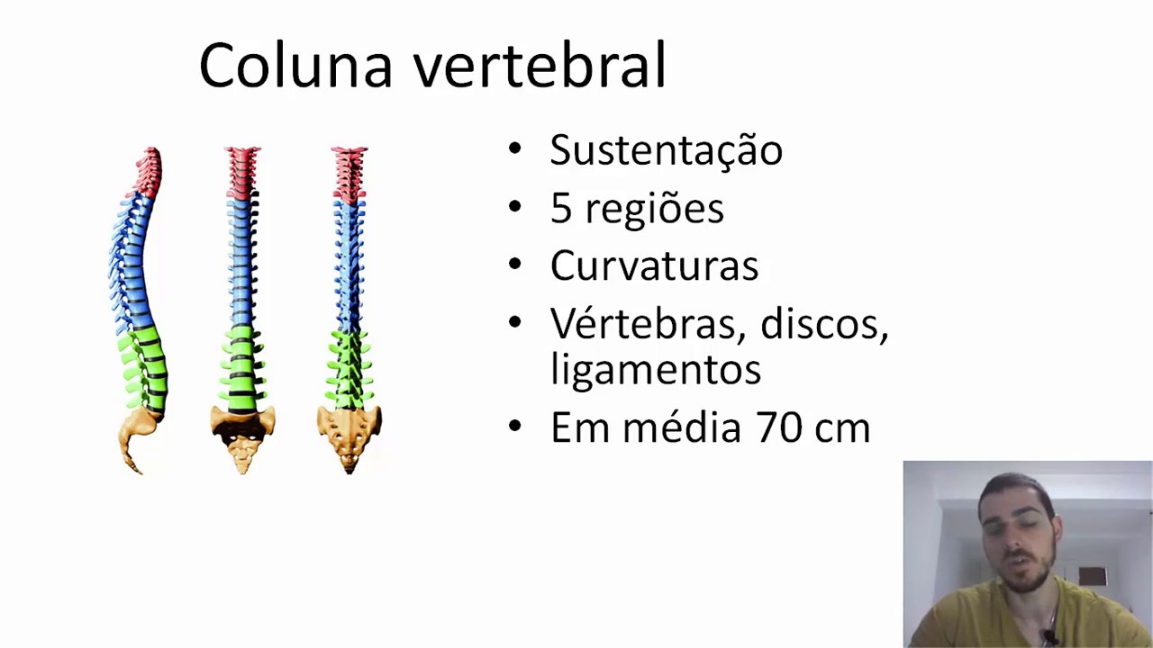 [CINESIOLOGIA E BIOMECÂNICA] COLUNA VERTEBRAL: estruturas e função