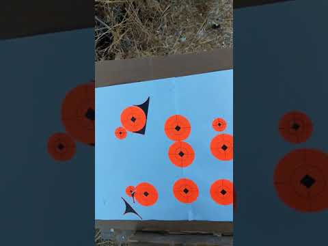 Umarex Fuel .22 break barrel with bipod shoots FTT Green pellets really good.