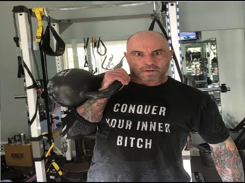 download lagu mp3 mp4 Joe Rogan Workout, download mp3 Joe Rogan Workout free download, download mp3 Joe Rogan Workout
