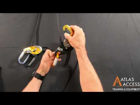 QUICK COMPARE: I'D and Rig!