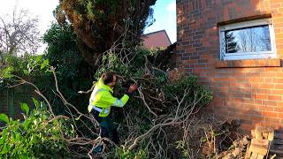 For More than TEN YEARS All this Was OVERGROWN and UNTOUCHED