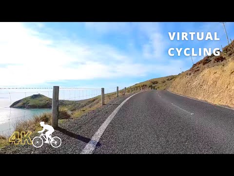 Indoor Cycling Workout Scenery Video With Music | Virtual Bike Ride Otago Peninsula Taiaroa Head