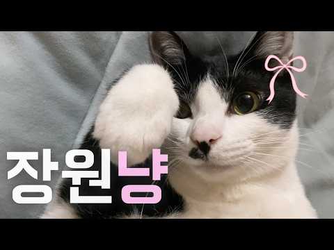 외모로 연산동 다 씹어먹던 스트릿계의 미묘