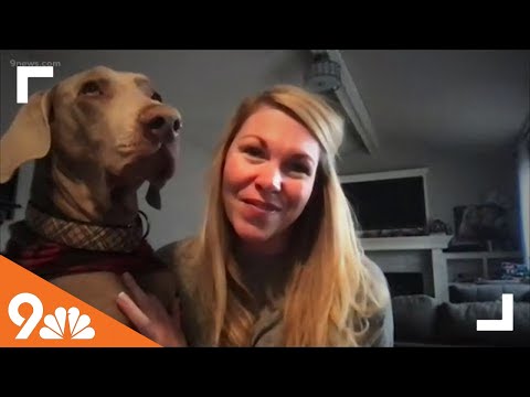 Petline 9: Mile High  Weimaraner Rescue