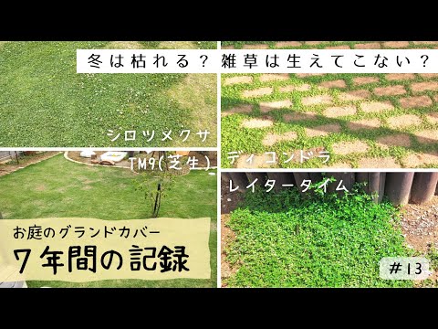グランドカバー:手入れが簡単な墓用植物 トピックス