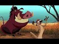 Timon And Pumbaa Theme Song Hindi Hakuna Matata HD