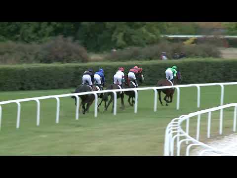 2019.10.06. 04. futam - MAFE TATTERSALLS DÍJ (I. kat.)