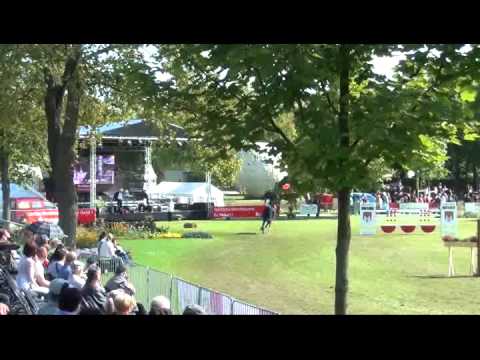 Sportpferde Matthias Keil - Charisma B