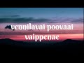 Vennilave Poovai Veypene Song Lyrics Tamil Song Lyrical Song Song Viral Subscribe