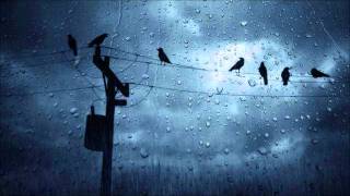 Late Night Alumni - Rainy Days Lyrics