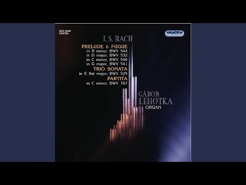 Trio Sonata No. 1 in E flat major BWV 525: II. Adagio