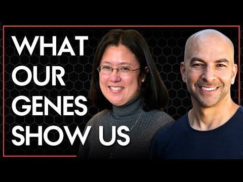 What genes can tell us about cancer risks | Peter Attia & Wendy Chung