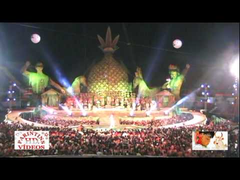 CD/DVD Boi-Garantido 2012-Tradição/Toada: Meu Coração e Garantido  (Parintins HD® Vídeos)