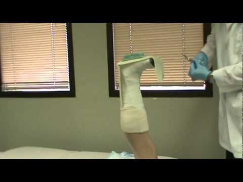 MaxCast Plus Cast  Application Video 2012webdvd