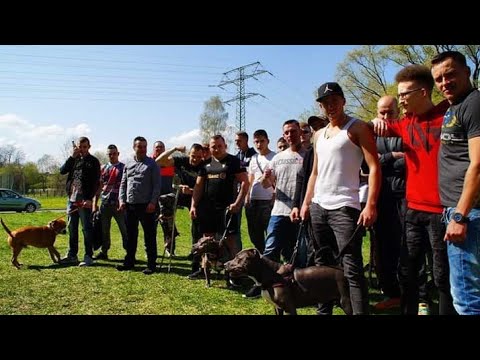 Buli / KRS - Więcej chcemy (prod. m0rs)