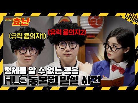 아이콘