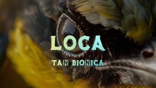 Tan Bionica - Loca Tan Bionica - Loca