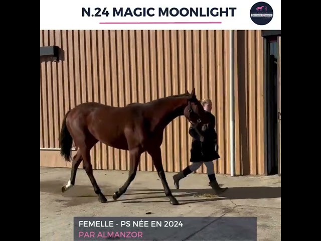 N24 MAGIC MOONLIGHT - PS - 1 an