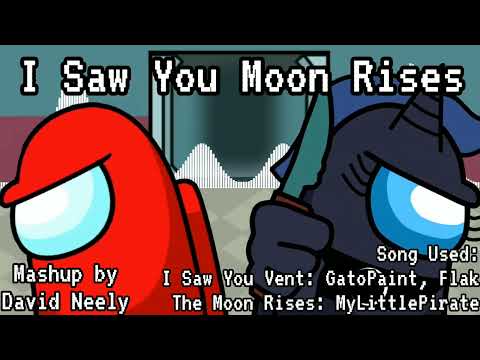 Mashup | GatoPaint, Flak x MyLittlePirate - I Saw You Moon Rises