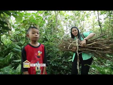 Salut! Meski Masih Kecil, Rangga Rajin Bantu Kek Marmo! | BEDAH RUMAH EP 107 (1/4)