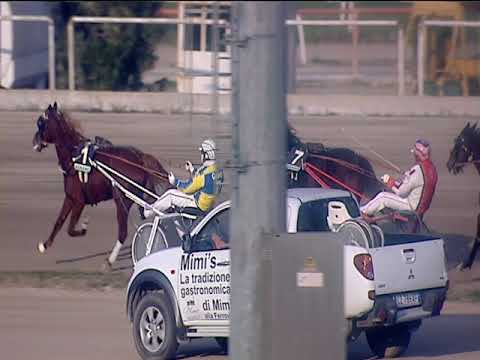 Trotto 30/12/2018 - 1ª corsa