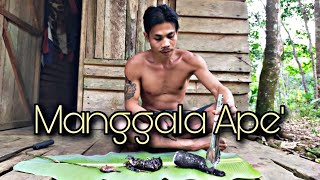 Download lagu Suku Dayak || Kehidupan Orang Dayak di Pulau Kalimantan, Makanan dari Alam mp3 Download lagu Suku Dayak || Kehidupan Orang Dayak di Pulau Kalimantan, Makanan dari Alam mp3