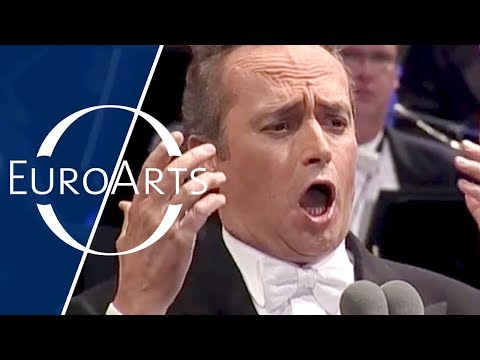 Johann Strauss - Gondellied from "Eine Nacht in Venedig" (Vienna Philharmonic Orchestra, Z. Mehta)