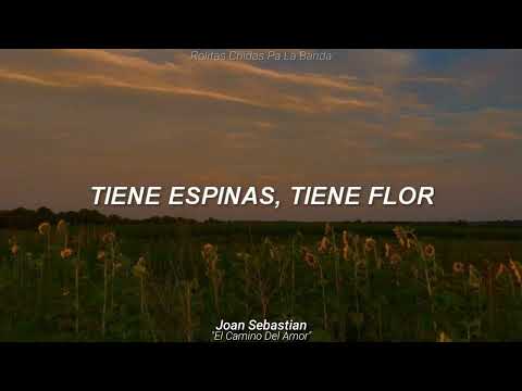 Joan Sebastian - El Camino Del Amor (Letra)