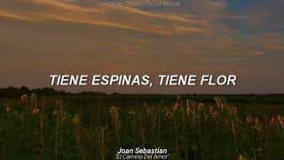 Joan Sebastian - El Camino Del Amor (Letra)