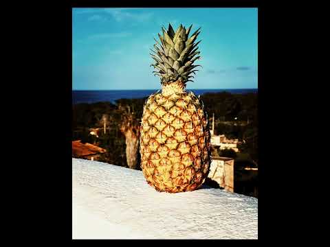 Villa Paquita - Font de sa Cala -  Mallorca