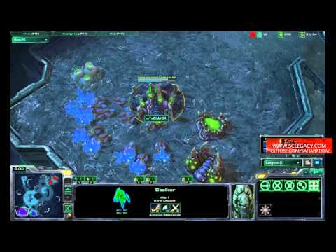 BlizzCon 2010 Invitational - White-Ra (P) vs. DimagA (Z) - Game 2