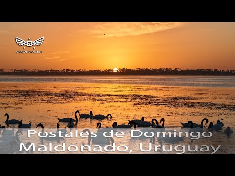 Postales de Domingo en Maldonado, Uruguay.(Dic 2025)