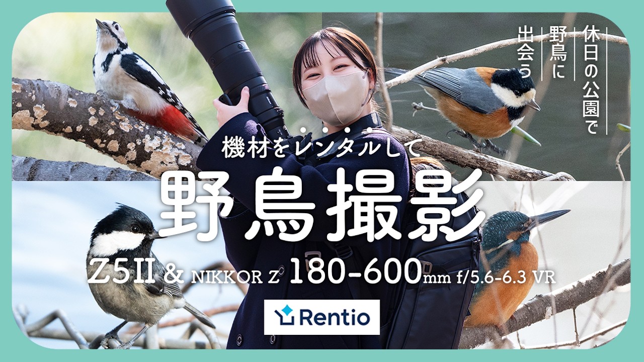 【使ってみた】レンティオで Z5ⅡとNIKKOR Z 180-600mmを借りて野鳥撮影