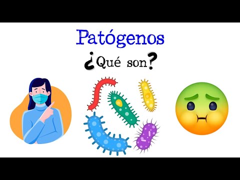 Cómo signar Patógeno en LSE