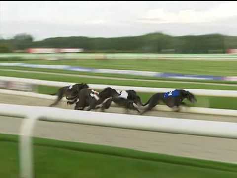 2017 BETFRED STANDARD - T2 HOLLYGATE BEST