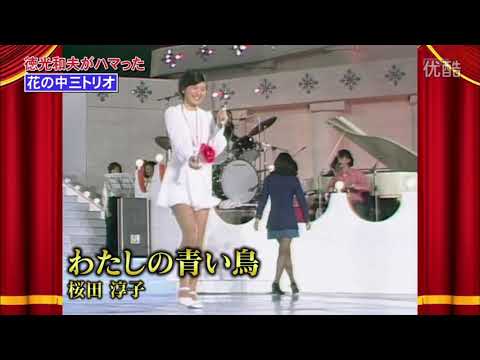 わたしの青い鳥 桜田淳子 1973/11/20
