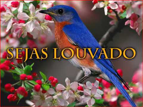 sejas louvado 007-hinario iasd