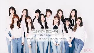 [1 HOUR LOOP/한시간 반복재생] IZONE 아이즈원 - 고양이가 되고싶어  Neko Ni Naritai 猫になりたい