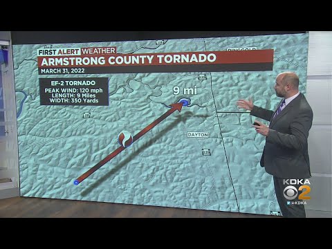 EF2 Tornado Confirmed In Wayne Township
